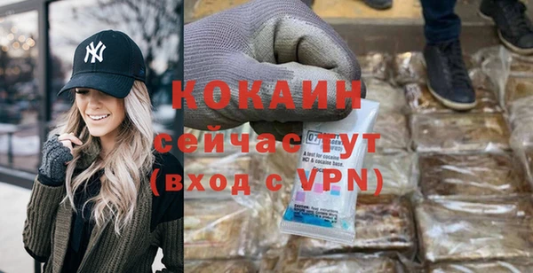 ешки Алексин